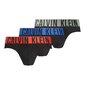 Trumpikės vyrams Calvin Klein Underwear 88059, įvairių spalvų, 3 vnt kaina ir informacija | Trumpikės | pigu.lt