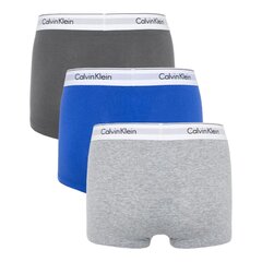 Trumpikės vyrams Calvin Klein Underwear 88025, įvairių spalvų, 3 vnt цена и информация | Мужские трусы | pigu.lt