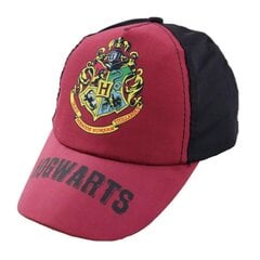 Kepurė su snapeliu vaikams Haris Poteris kaina ir informacija | Kepurės, pirštinės, šalikai berniukams | pigu.lt