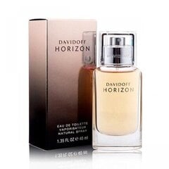 Мужская парфюмерия Horizon Davidoff EDT: Емкость - 125 ml цена и информация | Мужские духи | pigu.lt