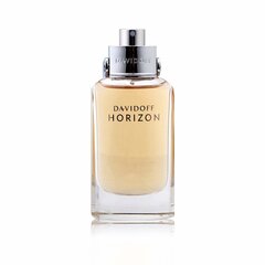 Мужская парфюмерия Horizon Davidoff EDT: Емкость - 40 ml цена и информация | Мужские духи | pigu.lt