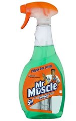 Mr Muscle stiklo ir kitų paviršių valymo skystis, 500 ml kaina ir informacija | Valikliai | pigu.lt