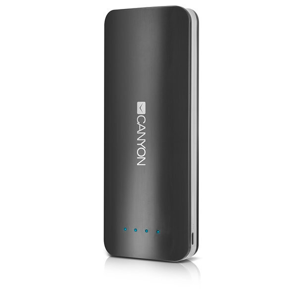 Powerbank CANYON CNE-CPB156DG 15600 mAh, Pilka kaina ir informacija | Atsarginiai maitinimo šaltiniai (power bank) | pigu.lt