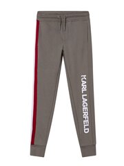 Брюки Karl Lagerfeld Z24136 Forest Green цена и информация | Спортивные штаны для мальчиков | pigu.lt