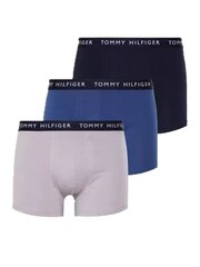 Боксеры Tommy Hilfiger Des Sky Bold Blu Light Cast, 3 пары цена и информация | Мужские трусы | pigu.lt
