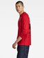 Marškinėliai vyrams G-star D23995 C336 8050 560022568, raudoni цена и информация | Vyriški marškinėliai | pigu.lt