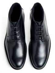 Туфли мужские Lloyd, черные цена и информация | Мужские кроссовки | pigu.lt