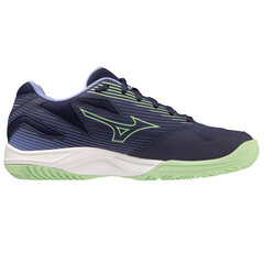 Sportiniai batai berniukams Mizuno V1GD231011, mėlyni цена и информация | Детская спортивная обувь | pigu.lt