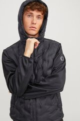 Striukė vyrams Jack&Jones 12254548BLACK, juoda kaina ir informacija | Vyriškos striukės | pigu.lt