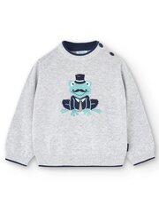 Джемпер для мальчиков Boboli Frog Grey 718163 520239633, серый цена и информация | Свитеры, жилетки, пиджаки для мальчиков | pigu.lt
