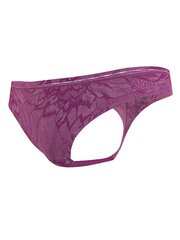 Calvin Klein kelnaitės moterims Thong Wild Aster 545667636, violetinės kaina ir informacija | Kelnaitės | pigu.lt