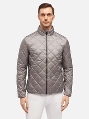 Мужская куртка Geox Warrens Sharkskin Grey M4525B T2449 F1436 560256014, серый цена и информация | Мужские куртки | pigu.lt