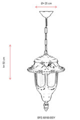 Lauko liustra BFE-68180-BSY цена и информация | Уличные светильники | pigu.lt