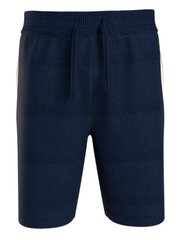 Мужские шорты Tommy Hilfiger Hwk Short UM0UM03008DW5 545667722, синий цена и информация | Мужские шорты | pigu.lt