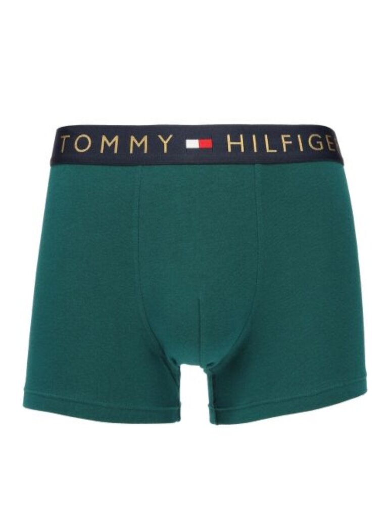 Tommy Hilfiger trumpikės vyrams Trunk Gold Wb UM0UM030470Y2 545667733, įvairių spalvų, 5 vnt. цена и информация | Trumpikės | pigu.lt