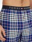 Tommy Hilfiger pižaminės kelnės Flannel Pant UM0UM029870G4, mėlynos kaina ir informacija | Vyriški chalatai, pižamos | pigu.lt