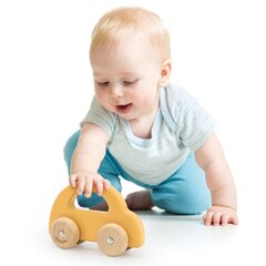 Žaislas stumdomas automobilis Viga kaina ir informacija | Žaislai kūdikiams | pigu.lt