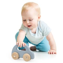 Деревянный раздвижной автомобиль Viga, синий цена и информация | Игрушки для малышей | pigu.lt