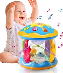 Interaktyvus žaislas kūdikiams Home Valley kaina ir informacija | Žaislai kūdikiams | pigu.lt