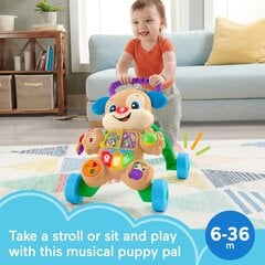 Ходунки для малышей Fisher Price цена и информация | Ходунки | pigu.lt