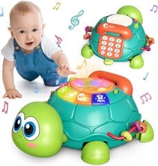 Музыкальная игрушка для малышей Черепашка цена и информация | Игрушки для малышей | pigu.lt