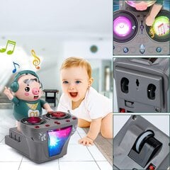 Interaktyvus muzikinis žaislas DJ Pig kaina ir informacija | Žaislai kūdikiams | pigu.lt