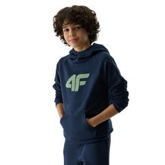 Džemperis berniukams 4F JWSS24TSWSM092531S, mėlynas цена и информация | Свитеры, жилетки, пиджаки для мальчиков | pigu.lt