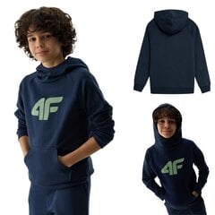 Džemperis berniukams 4F 4FJWSS24TSWSM092531S, mėlynas kaina ir informacija | Megztiniai, bluzonai, švarkai berniukams | pigu.lt
