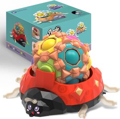 Игрушка для детей шар-головоломка Devolamn Magic Puzzle  цена и информация | Развивающие игрушки | pigu.lt