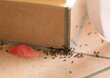 VACO MAX milteliai skruzdėlių repelentas - 1 kg kaina ir informacija | Priemonės nuo uodų ir erkių | pigu.lt