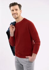 Хлопковый джемпер S-BRADY цена и информация | Мужские свитера | pigu.lt