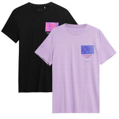Marškinėliai vyrams 4F, įvairių spalvų, vnt. kaina ir informacija | Vyriški marškinėliai | pigu.lt