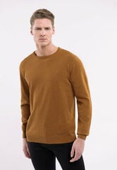 Мужской джемпер S-RADO цена и информация | Мужские свитера | pigu.lt