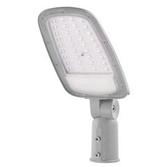 LED gatvės šviestuvas SOLIS 70W 8400 lm NW kaina ir informacija | Lauko šviestuvai | pigu.lt