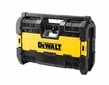 Dewalt DWST1-75659 kaina ir informacija | Radijo imtuvai ir žadintuvai | pigu.lt