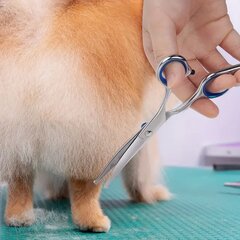 Качественные ножницы для стрижки домашних животных цена и информация | Средства по уходу за животными | pigu.lt