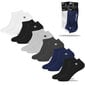 Kojinės vyrams Pierre Cardin 0372, įvairių spalvų, 6 poros kaina ir informacija | Vyriškos kojinės | pigu.lt