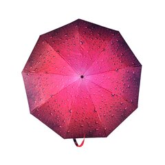Pusiau automatinis skėtis kaina ir informacija | Moteriški skėčiai | pigu.lt