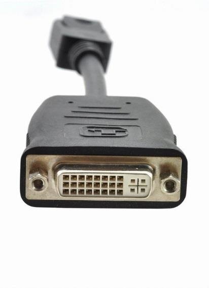 XFX DP - DVI SL BOX kaina ir informacija | Adapteriai, USB šakotuvai | pigu.lt