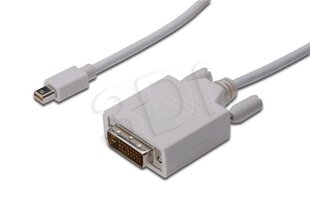 Assman Kabel DisplayPort 1.1a mini DP-DVI TypA MM 2.0m цена и информация | Адаптеры, USB-разветвители | pigu.lt