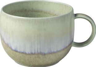 Villeroy & Boch puodelis kavai, 0,27 l kaina ir informacija | Taurės, puodeliai, ąsočiai | pigu.lt