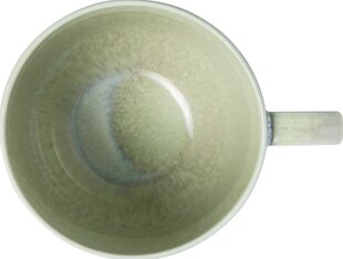 Villeroy & Boch puodelis kavai, 0,27 l kaina ir informacija | Taurės, puodeliai, ąsočiai | pigu.lt
