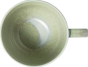 Villeroy & Boch Perlemor Alga espresso puodelis, 0,1 l kaina ir informacija | Taurės, puodeliai, ąsočiai | pigu.lt