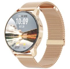WonderFit sX5, gold цена и информация | Смарт-часы (smartwatch) | pigu.lt