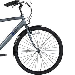 Городской велосипед Bisan 28 Hardy (PR10010413) серый/черный (21) цена и информация | Велосипеды | pigu.lt