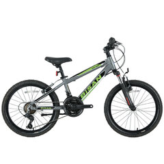 Miesto dviratis Bisan KDX2600 20", pilkas/žalias kaina ir informacija | Dviračiai | pigu.lt