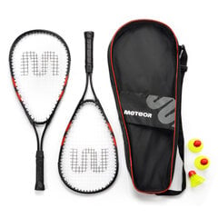 Badmintono rinkinys Meteor, juodas kaina ir informacija | Badmintonas | pigu.lt