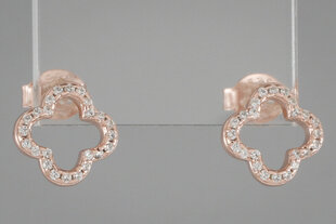 Paauksuoti sidabriniai auskarai moterims Brasco 54032 kaina ir informacija | Auskarai | pigu.lt
