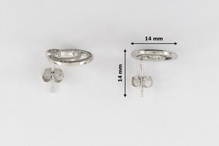 Серебряные серьги с цирконами Brasco 54038 54038 цена и информация | Серьги | pigu.lt