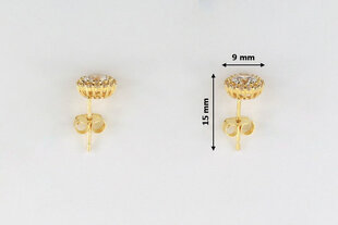 Paauksuoti sidabriniai auskarai moterims Brasco 55814 kaina ir informacija | Auskarai | pigu.lt